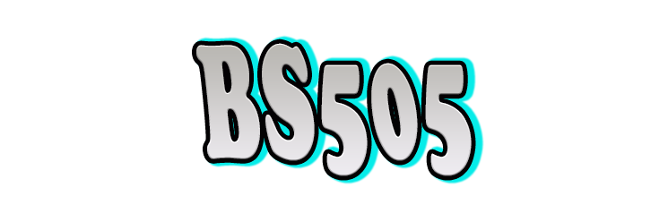 BS505 Logo