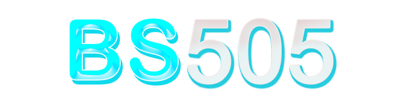 Bs505